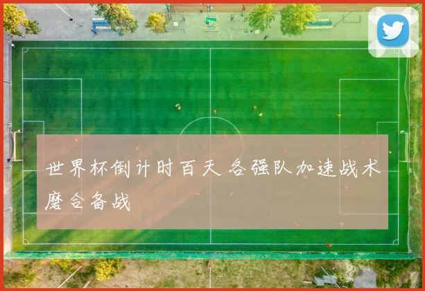 世界杯倒计时百天 各强队加速战术磨合备战