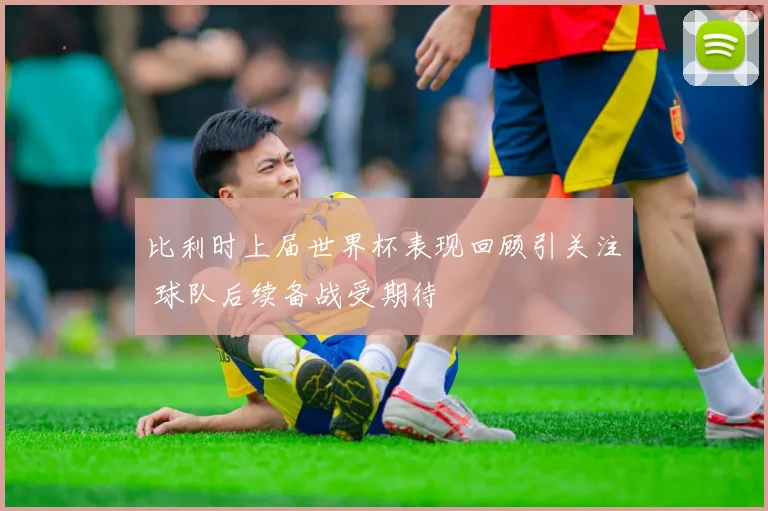 比利时上届世界杯表现回顾引关注 球队后续备战受期待