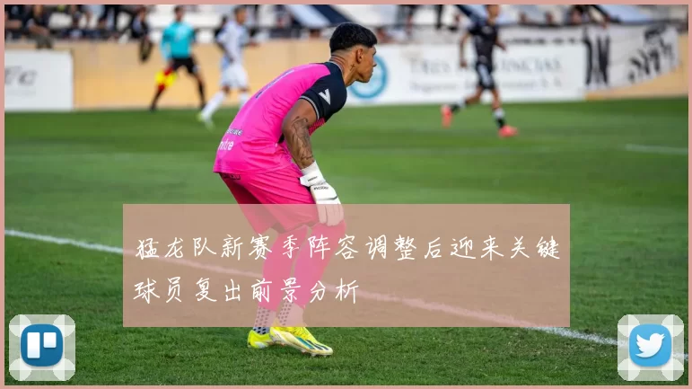 猛龙队新赛季阵容调整后迎来关键球员复出前景分析