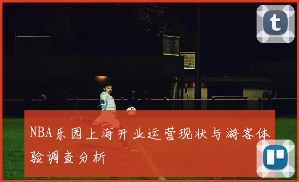 NBA乐园上海开业运营现状与游客体验调查分析