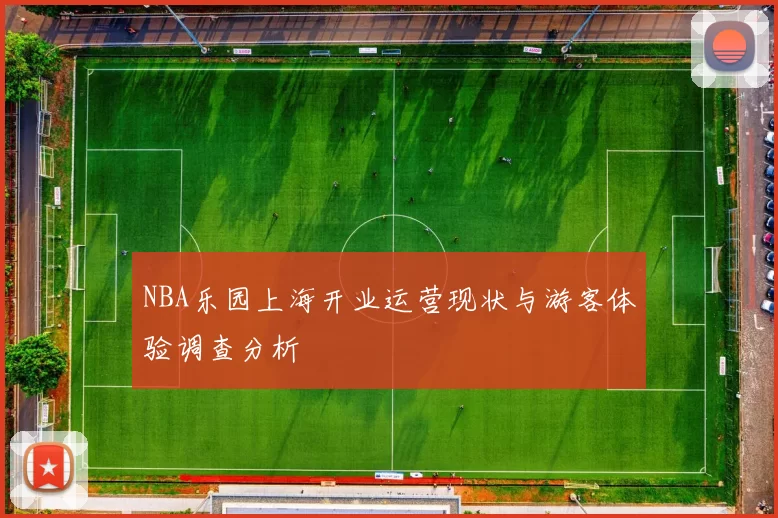 NBA乐园上海开业运营现状与游客体验调查分析